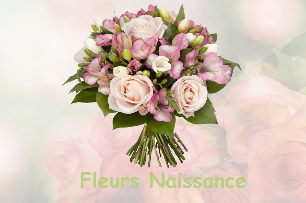 fleurs naissance MANCENANS-LIZERNE